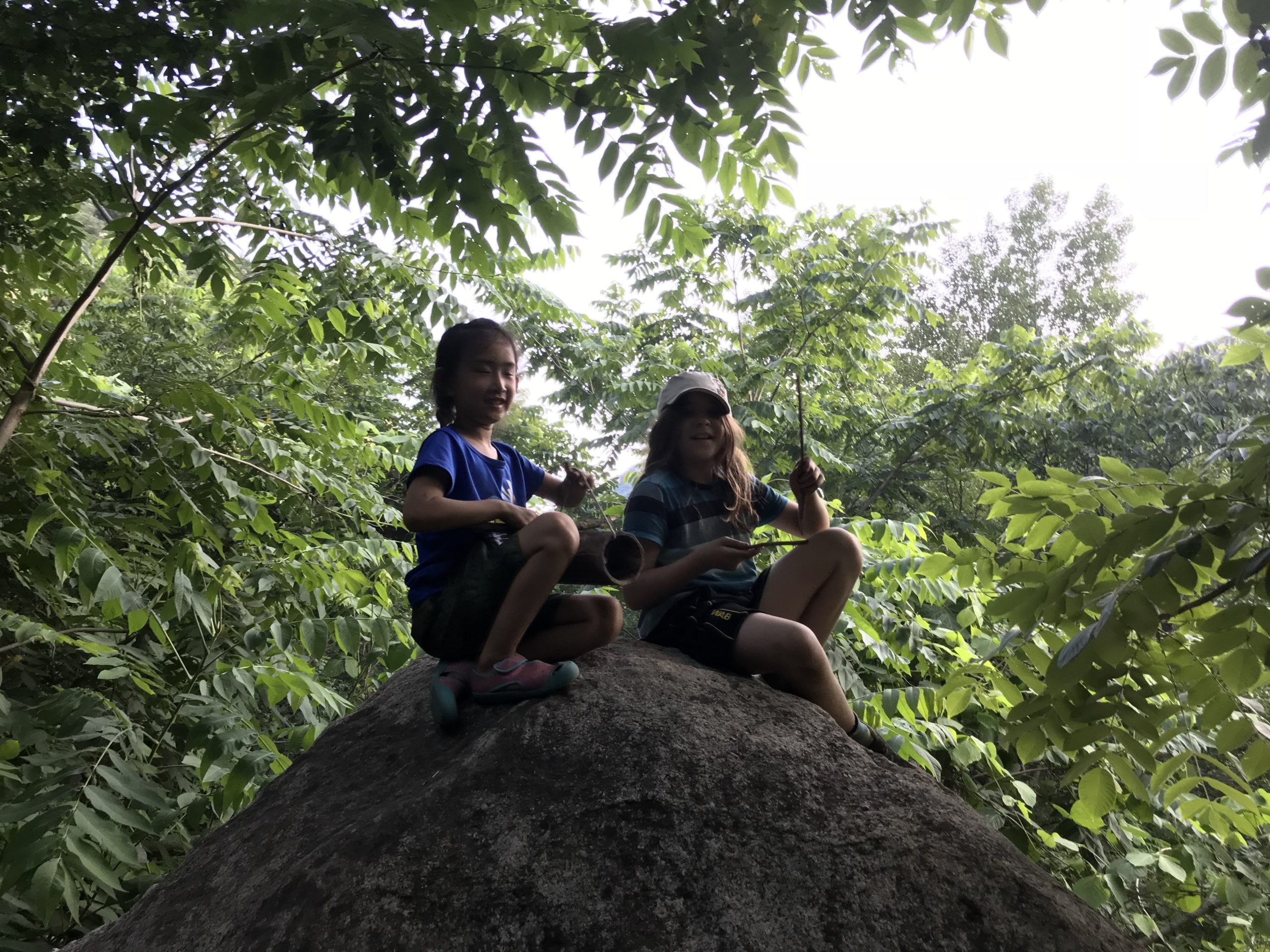 on a rock
