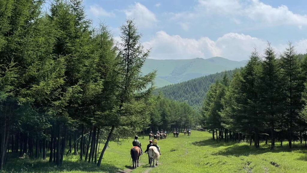 f778b22ec8fd8055e86771da552512